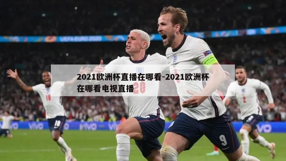 2021欧洲杯直播在哪看-2021欧洲杯在哪看电视直播