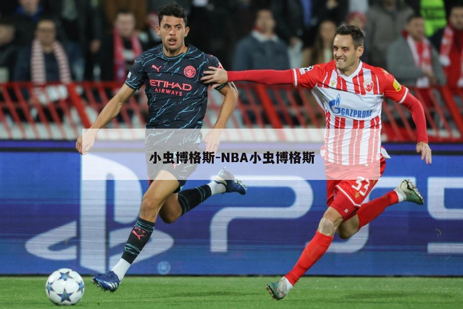 小虫博格斯-NBA小虫博格斯