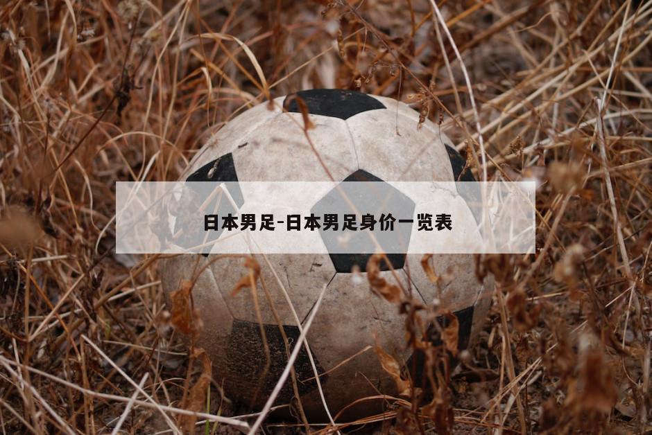 日本男足-日本男足身价一览表