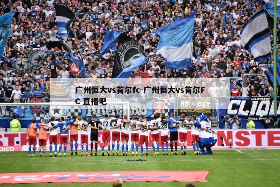 广州恒大vs首尔fc-广州恒大vs首尔FC 直播吧